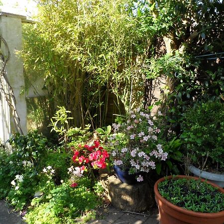 Galway Guest House Веймут Екстер'єр фото