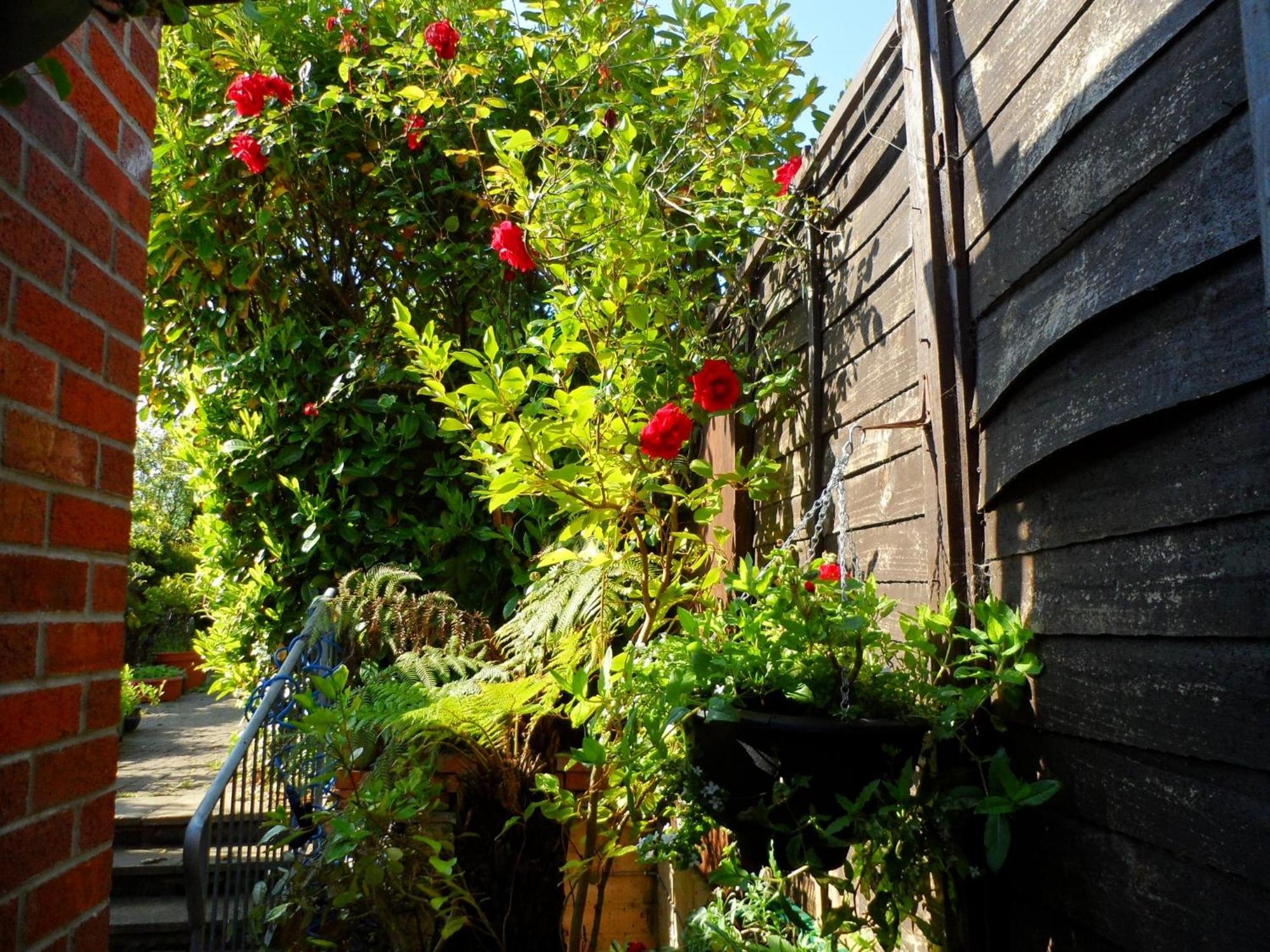Galway Guest House Веймут Екстер'єр фото